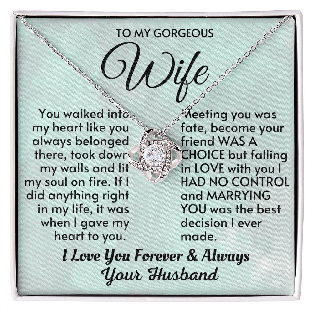Wife - Meeting You Was Fate LK Necklace - HW003-Silver-Standard Box