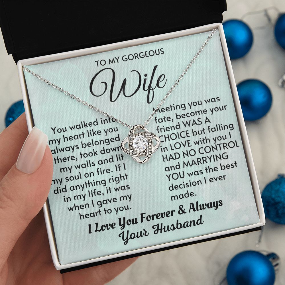 Wife - Meeting You Was Fate LK Necklace - HW003-Silver-Standard Box
